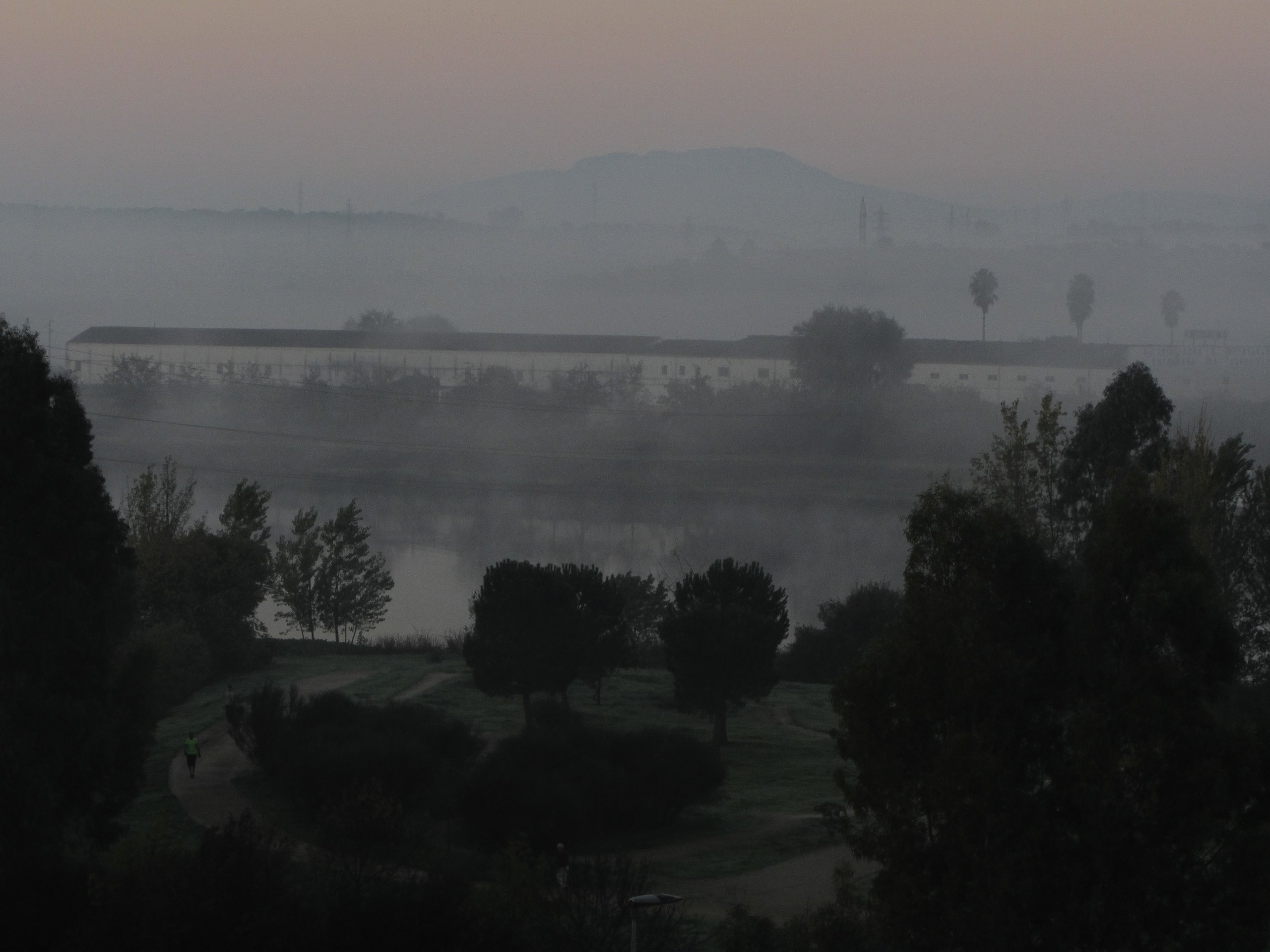 Mérida Niebla 1